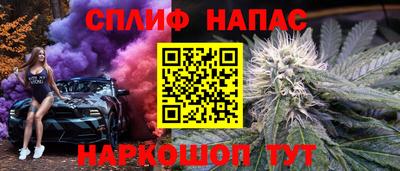 гидра Краснознаменск
