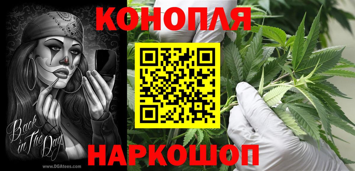 Канабис семена Калуга